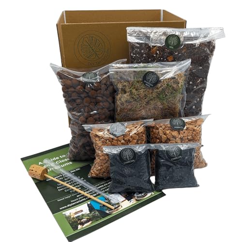 DIY Large Open and Closed Terrarium Kit (Terracotta Pebbles)