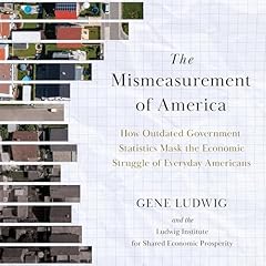 Mismeasurement of America Audiolibro Por Gene Ludwig arte de portada