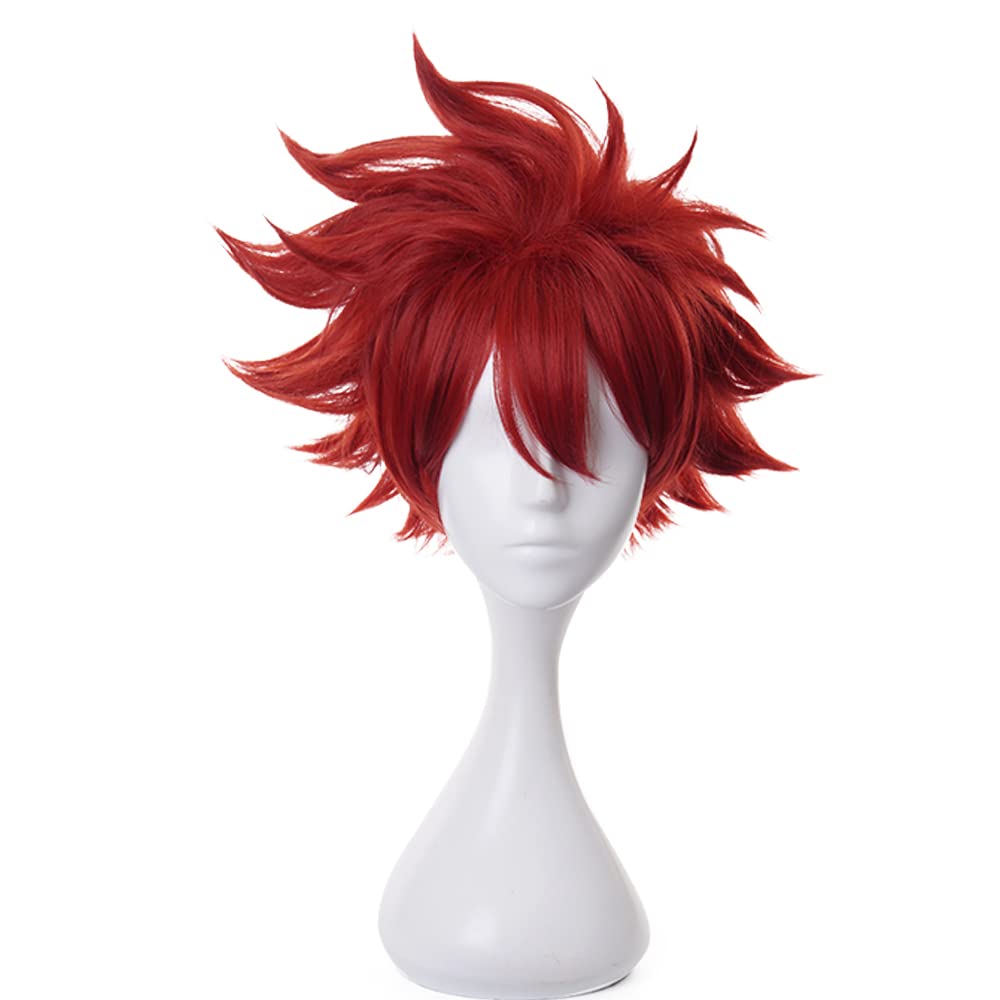 Dark Red Short Wig for Anime Straight Heat Resistan Synthetic Costume Hairs for Women Men Halloween Cos Anime Party Replacement Wigs