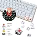 immagine 2AJAZZ AK33 Tastiera Meccanica da Computer Gaming, USB Cablata 82 Tasti Anti-Ghosting Tastiera Gioco Bianco Illuminata Backlit, Mechanical Keyboard Compatta Ergonomica, Interruttore Rosso, Bianco