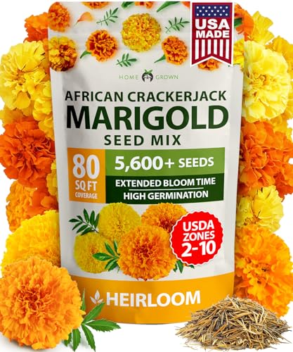 HOME GROWN Marigold Seeds Bulk Mix - 5600+ Crackerjack Marigold Flower Seeds for Planting Outdoors -Flowers Seed for Companion Planting -Wildflower African Marigold(Tagetes erecta)