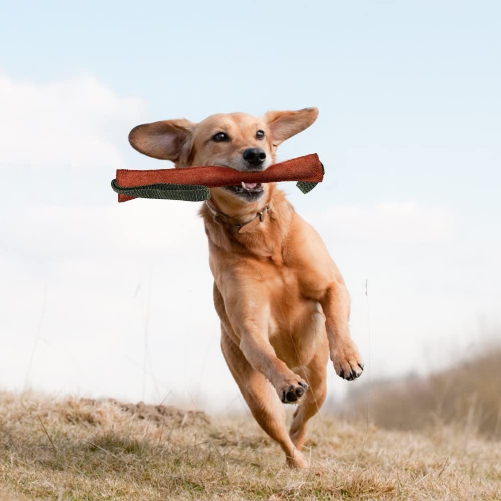 DONGKER Manicotto per Cani,20/30/40cm Giocattolo Salsicciotto per Cane con Maniglie per Addestramento e Gioco Interattivo di Cani di Piccolo Medio e Grande