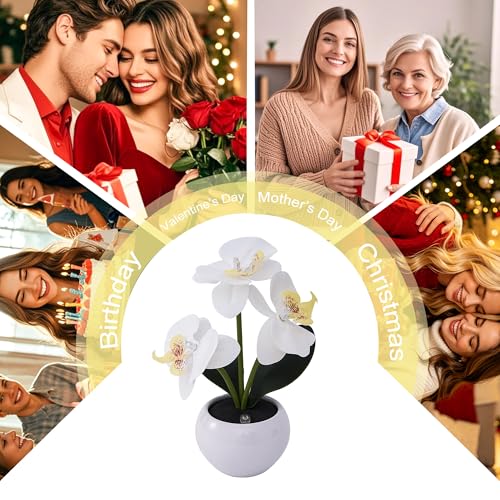 Image of White Artificial Orchid Lamp, Cordless Touch Control Floral Night Light, Valentine's Mothers Day Wedding Birthday Gift for Mom Wife Friends, Floral Table Light for Bedroom Indoor Home Ornament