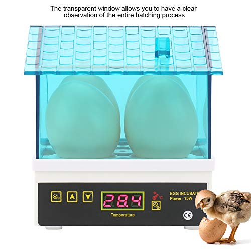 Ei-Inkubator, 15 W 4 Eier Hatcher Haushalt Digitale Halbautomatische Brutmaschine mit Temperaturanzeige, Mini-Geflügel… – Bild 6