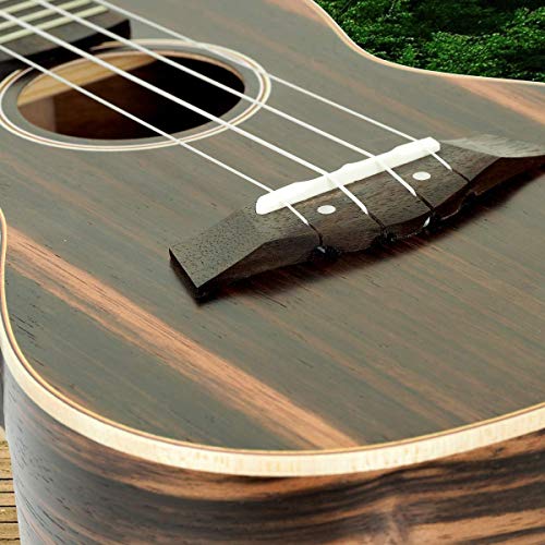 Image of Hola! Music 24 Inch Deluxe Concert Ukulele Bundle, Mahogany, Gig Bag