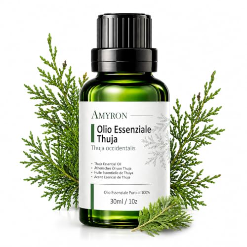 Olio Essenziale Thuja AMYRON 30ml |Thuja occidentalis L. | Arborvitae | 100% Puro e Naturale | Ideale per Aromaterapia | Diffusore Oli Essenziali e Massaggi Aromatici | Uso Alimentare | Senza OGM