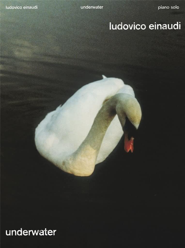 Chester Music Underwater