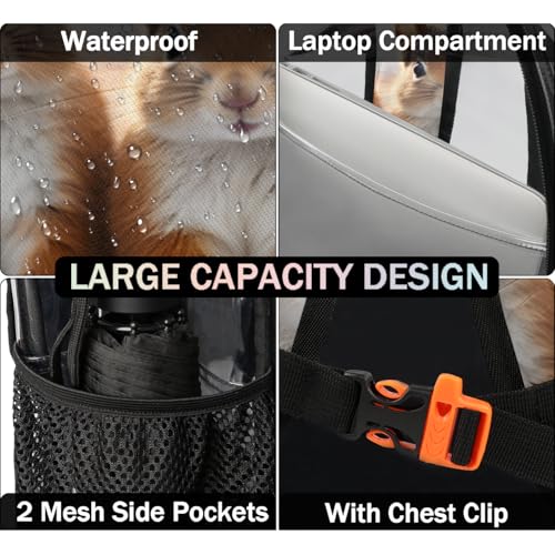 Squirrels Snow Clear Backpack Stadium Approved PVC Backpacks for Adults Heavy Duty Clear Bag for Work Security Travel College4