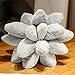 3D Succulents Cactus Pillow,Cute Pillows for Bedroom Aesthetic,10 Inch Lifelike Plush Stuffed Toys Soft Doll Creative Potted Flowers Pillow Chair Cushion Gift for Girls Kids (10 inches, Gray)