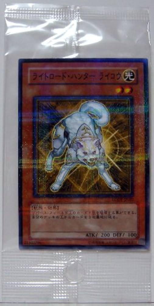 即購入OK】世界に1枚 ライトロードハンター ライコウ パラレル