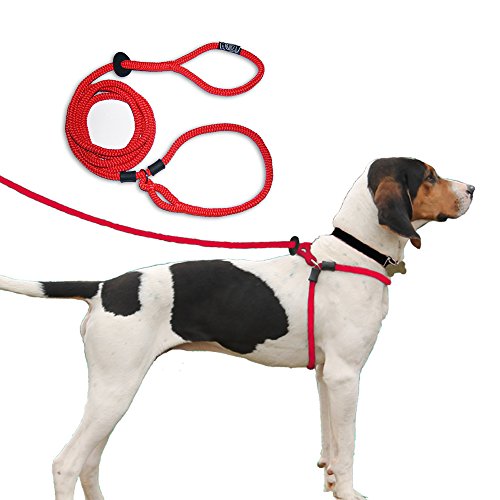 Image of Harness Lead Escape Proof, Reduces Pull Dog Harness, Small /Medium, Red