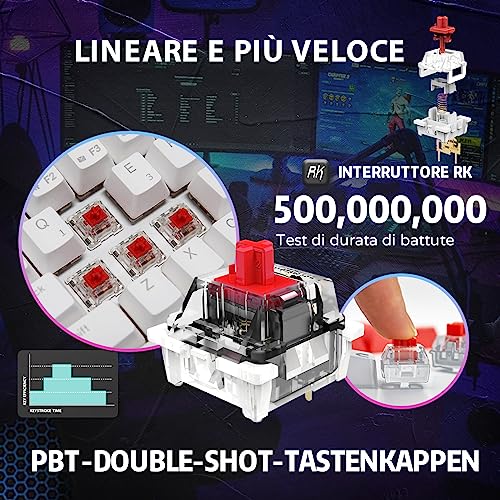 RK61 Tastiera Gaming Meccanica, 60% Tastiera Wireless 2.4Ghz/Bluetooth/USB-C RGB Backlit Interruttore Rosso Hot Swap Double-Shot ABS Keycaps Compatibile con Win/Mac, Bianco (QWERTY Layout Italiano) - Tastiera gaming - Immagine 3