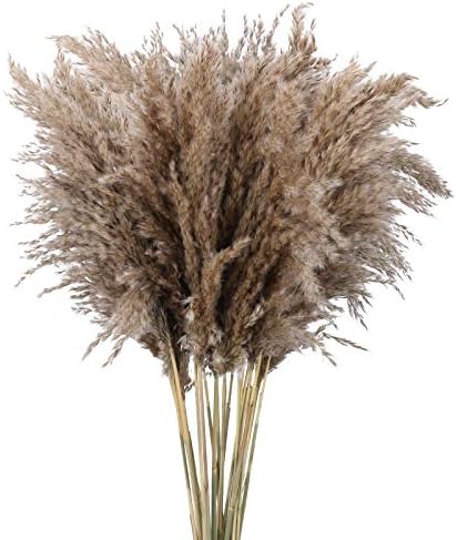 HUAESIN 20PCS 100cm Tall Pampas Grass Artificial Pampas Grass Large Dried Pampas Grass Decor Natural Dried Flowers Bouquet for Boho Home Decor Wedding Party Photographing Hotel Decor