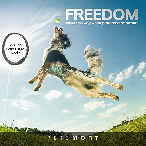 Petsmont Flea Collar for Dogs, Tick Collar for Dogs, Flea and Tick Collar for Dogs, Dog Flea Collar, Unique Plant Based… - Image 4