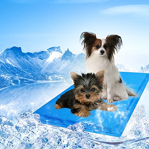 HOMION Pet Cooling Gel Mat Dog Cat Cool Mat Pad Bed Mattress Heat Relief Non-Toxic Cooling Technology to Help Your Pets Cool Down in the Summer Heat (Small 40 x 50cm)