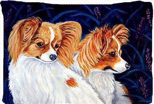 GenericGlobalNiche® 7241PILLOWCASE Papillion Moisture Wicking Fabric Standard Pillowcase, Large, Multicolor