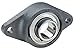 INA/Schaeffler Technologies - PCJTY17-2-Bolt Flange Bearing with Ball Bearing Insert and 17mm Bore Dia.