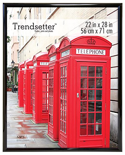 MCS Trendsetter 22x28 Inch Poster Frame, Black (27228)