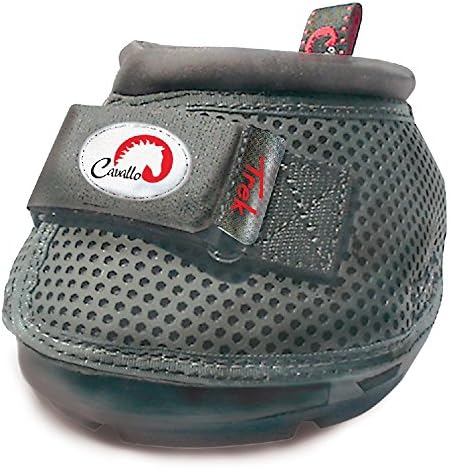 Cavallo Horse & Rider Men's Regular