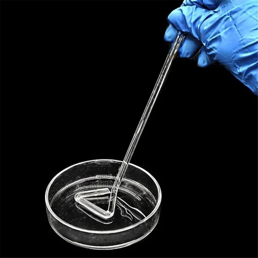 Attrezzature e forniture di laboratorio 10 pezzi di capsula Petri in vetro da 90 mm altezza, coltura in borosilicato trasparente