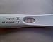 ALREADY POSITIVE Prank Pregnancy Test BOX of 2 - NO BODILY FLUIDS USED