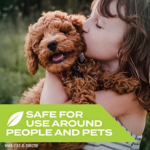 Stem Repels Mosquitoes: Mosquito Repellent Spray With Botanical Extracts, 4 Fl Oz (Pack Of 1) #TOP3