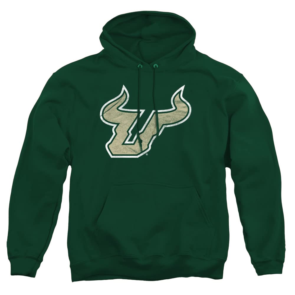 LOGOVISION Official Collegiate Distressed Primary Logo Adult Pullover Hoodie Collection — view 316