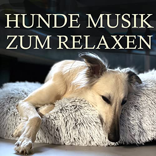 Entspannung für Hunde