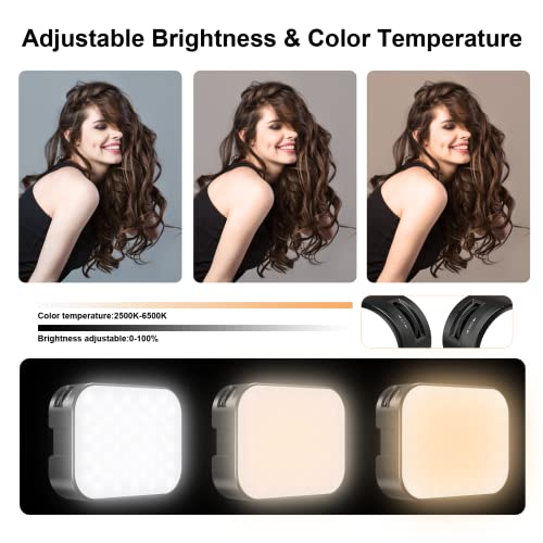 Ulanzi Selfie Light, Clip Led Light Panel For Phone/Laptop/Tablet/Computer, Bi-Color Portable Clip Camera Light With Dimmable 2500-6500K With 2000Mah Battery For Selfie/Video Conference/Picture #TOP1