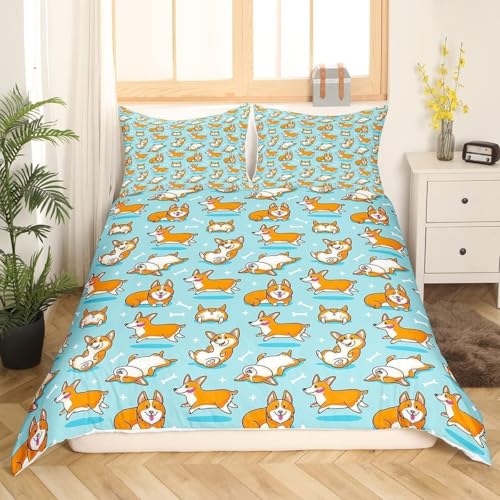 Č zcJo[ LO  QJo[ 3_Zbg  |zcJo[ LO 150x210 cm 2 Jo[43x63 cm ybg  Q F-300