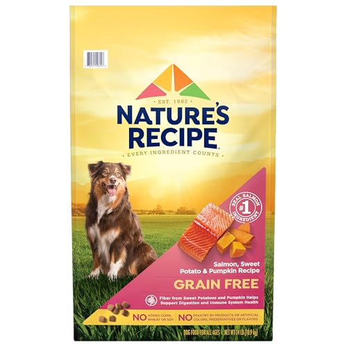 Nature’s Recipe Grain Free Dry Dog Food Salmon, Sweet Potato & Pumpkin Recipe, 24 lb. Bag