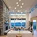 GINSENGLUX 14 Lights Nickel Staircase Chandelier for High Ceiling, Dimmable Modern Crystal Raindrop Large Long Hanging Pendant Light for Stairwell Living Room Stair Foyer, Bulbs Included
