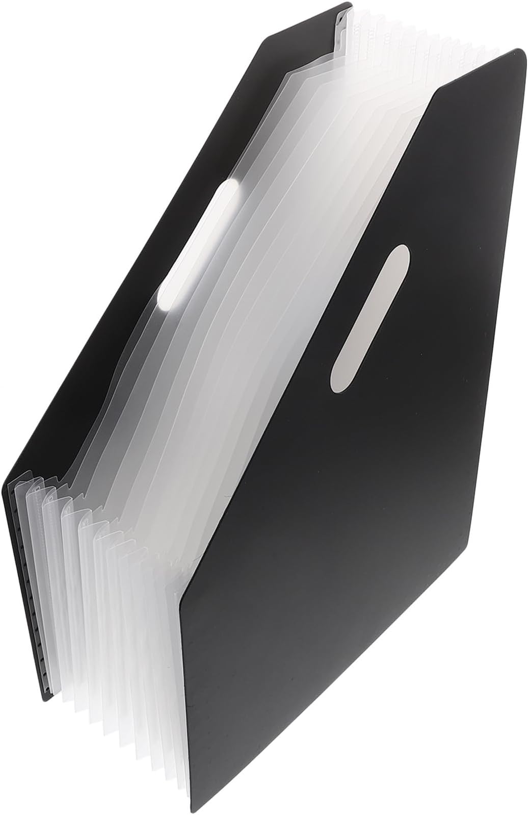 PACKOVE A4 Black Plastic Accordion File Organizer with Multi-Layer Expanding Folders, Large Capacity Document Storage Case for Office and Student Desktop Filing