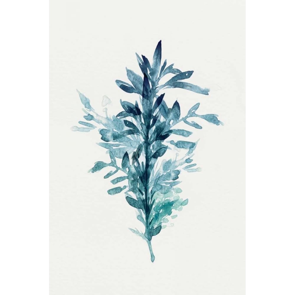 Johann × BOTANIZE Canvas on giclee Amazon.com: ArtDirect Botanical II 36x45 Huge White Modern