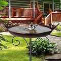 DREAMSOUL Outdoor Garden Bird Bath Metal Bird Baths Cast Iron Birdbath with Metal Stake Tall Bird Bath for Yard Garden Decor (Dia - 11 inch)