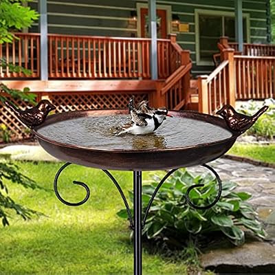 DREAMSOUL Outdoor Garden Bird Bath Metal Bird Baths Cast Iron Birdbath with Metal Stake Tall Bird Bath for Yard Garden Decor (Dia - 11 inch)