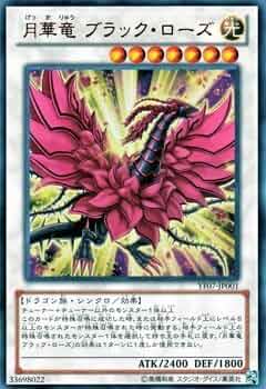 51-VMTfEXCL._UF350,350_QL50_.jpg
