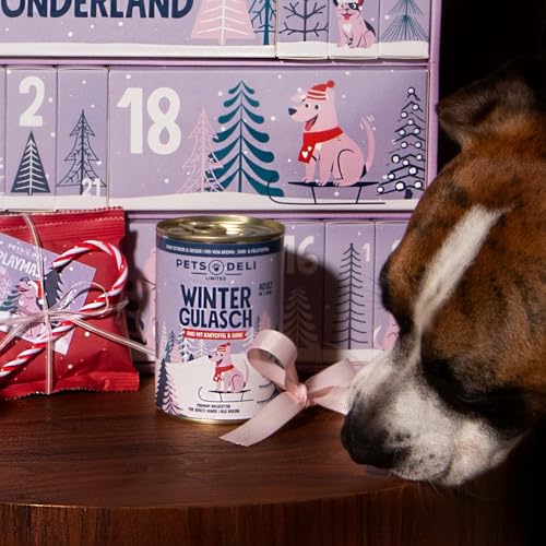 Pets Deli Adventskalender 2025 für Hunde, 24 Türchen mit Snacks, Nassfutter & Gutschein, 1280 g