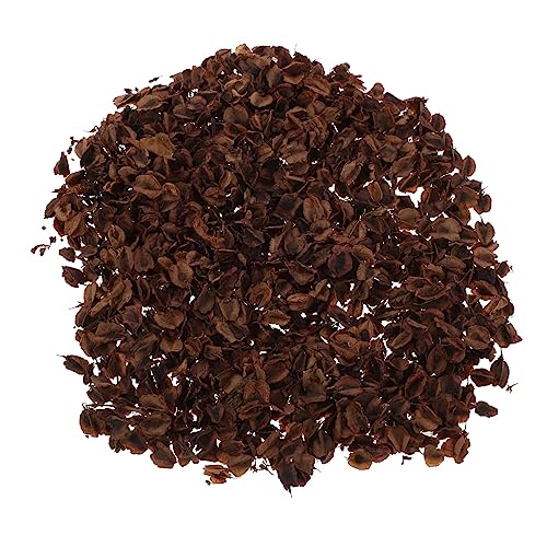 Cemaystic ~j`A[tf t W The[upfR[V vCZbg ȃV[