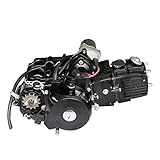 Zündspule Dirtbike Motor 125ccm halbautomatik + E Starter Pitbike Enduro Cross Dirt Bike Motor 125cc Kinder Cross