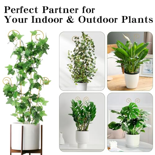 Image of ZOUTOG Trellis for Climbing Plants Indoor 4 Pack 30 Inch,Rustproof Metal Garden Trellis for Potted Plants,Houseplant Support Indoor Outdoor for Ivy Pothos Monstera Hoya Flower Vines(Golden Round)