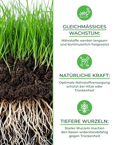 Bio-Rasendünger für den Sommer – TESTSIEGER, Made in Germany – 2,5 kg für 100 m² – Organische Nährstoffe für gesunden Boden und sattgrünes Rasenbild von Natureflow Garden 5