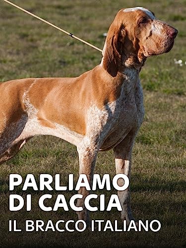  PARLIAMO DI CACCIA: IL BRACCO ITALIANO