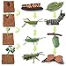 Life Cycle Figurines Toy Set of Butterflies Grasshoppers and Plants Figures Preschool Toys Kit Science and Educational Auxiliary Toys for Kids Toddlers Boys and Girs 12PCS