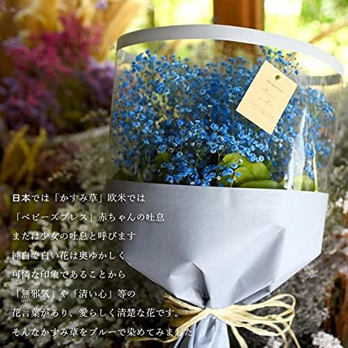 Amazon 青い かすみ草 カスミソウ 花束 Lサイズ ウィンドウラッピング 花束 オンライン通販