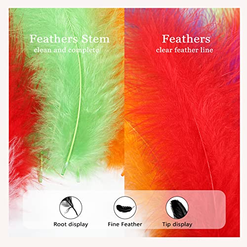 Feelfunfeather 100Pcs Fluffy Turkey Marabou Feathers 4-6Inch For Craft Dream Catcher Decoration Natural Fluffy Turkey Marabou Feathers,Mix Colour #TOP3