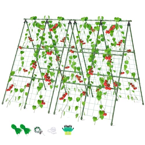 Miory Cucumber Trellis 32x48 2 Pack A-Frame Trellis for Raised Bed Garden Trellis for Climbing Plants Outdoor Plant Support for Vegetables Vines