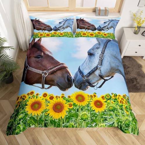 SJSXWQNzcJo[ VO n Jo[ t|zcJo[ VO ʋC |GXeRۖhL h_j zcJo[i150x210cmj+ 2Jo[(43x63cm)