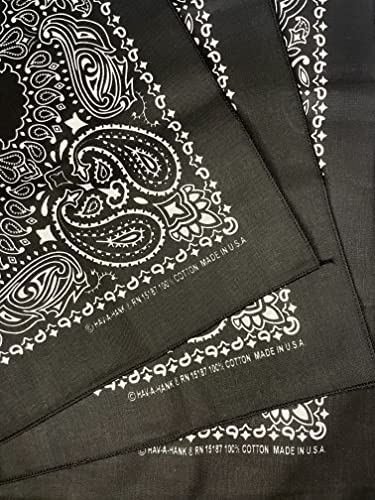 USA Made Military Army Trainmen Paisley 22 / Hav A Hank Paisley Bandana Made in USA (Set of 3)