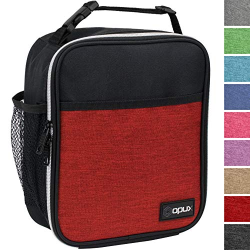 lunch bag that fits in backpack